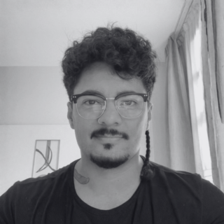 Diego Silva, Review My Emails